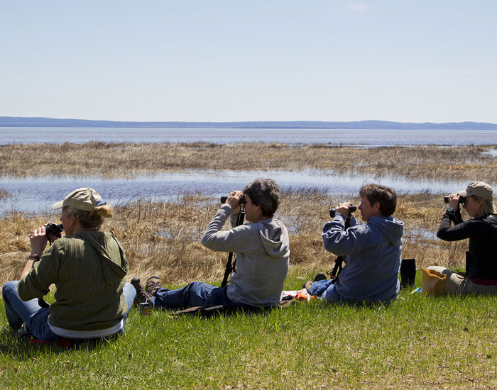Road trip through Southern Ontario